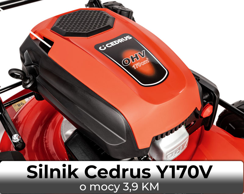 Silnik Cedrus Y170V w kosiarce Cedrus KS51P